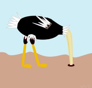 Ostrich with head in the sand